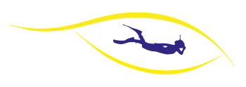 Logo Paimpol Aquavision-13